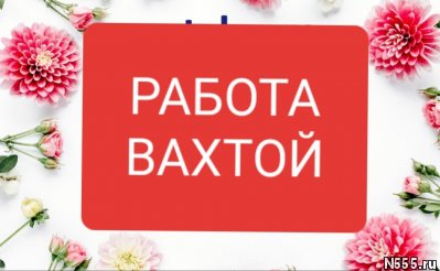 Работа упаковщик/комплектовщик вахтой от 15 смен фото